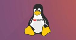 如何在Ubuntu中安装特定版本软件包 apt-get安装指定版本教程