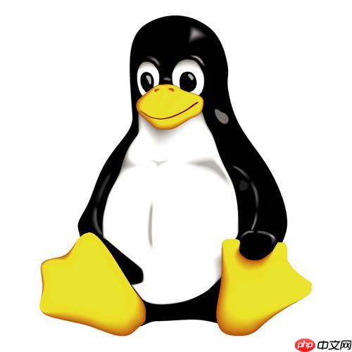 如何修改Linux文件时间戳 touch命令高级用法解析