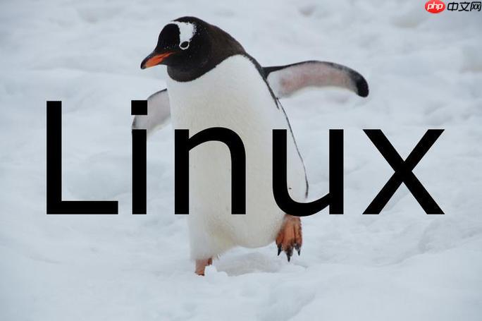 如何挂载LinuxISO镜像 临时挂载光盘文件方法