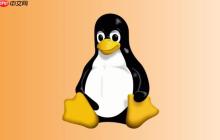 如何在Linux中测试解析 Linux dig查询参数详解