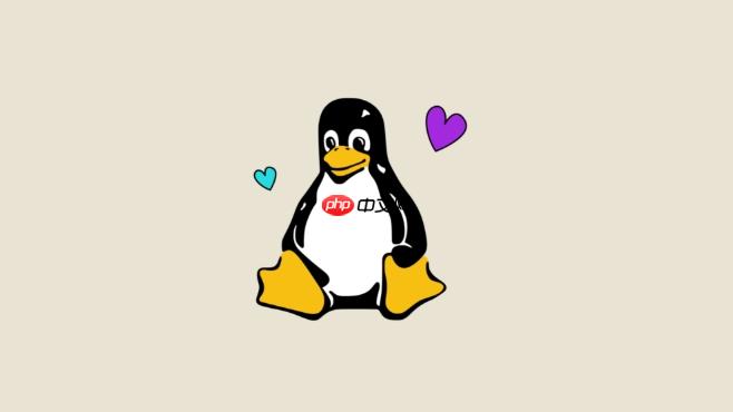 Linux怎么查看所有网络接口的状态