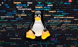 Linux怎么配置本地DNS服务器地址