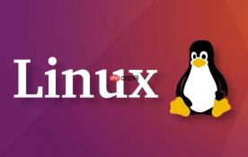 linux怎么配置本地dns服务器地址