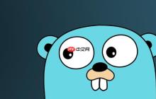 Golang使用JetBrains GoLand开发环境配置