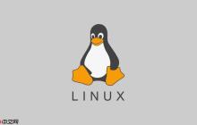 Linux如何查看一个用户属于哪些组