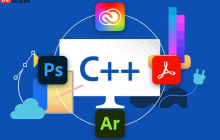 C++如何使用STL实现高效查找和排序