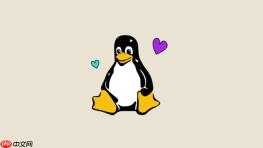Linux怎么测试DNS解析是否正常