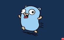 Golang指针作为接口实现方法参数示例