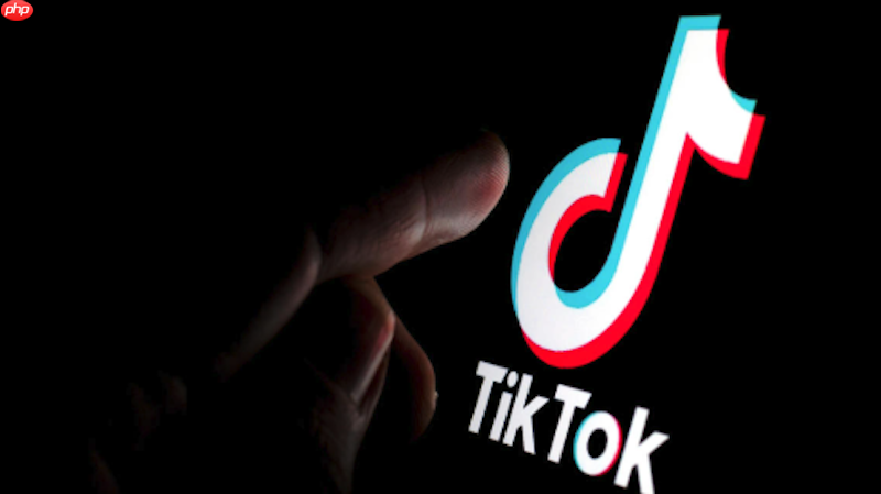 tiktok视频播放进度异常如何处理