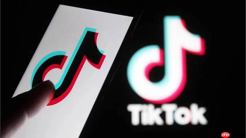tiktok視頻保存失敗怎么辦