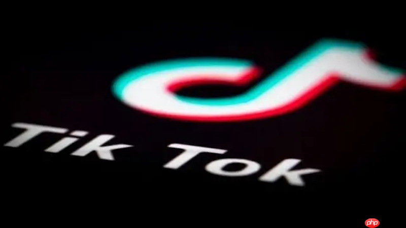 TikTok視頻播放異常退出如何處理
