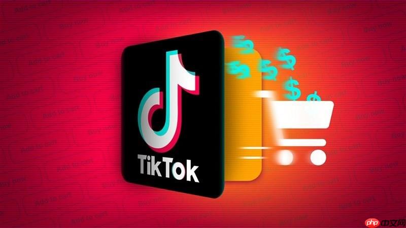 TikTok视频播放异常闪退怎么办
