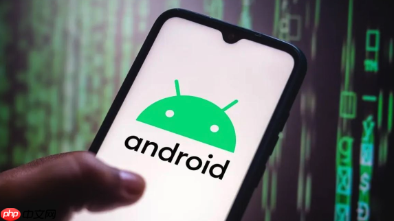 荣耀play 50 plus充电异常检测 荣耀play 50 plus原装充电器识别