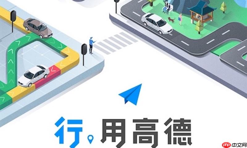 高德地图路线切换无效如何处理