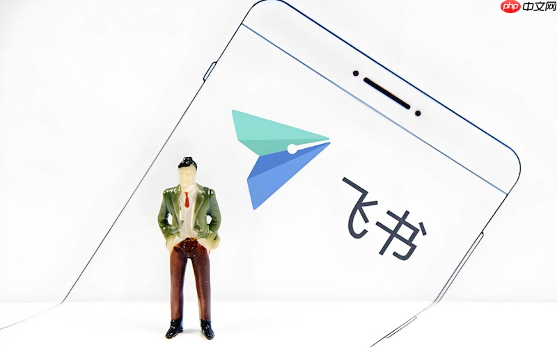 飞书会议画面卡顿怎么办 飞书网络延迟优化与操作方法