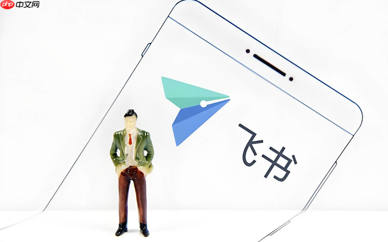 飞书会议画面卡顿怎么办 飞书网络延迟优化与操作方法