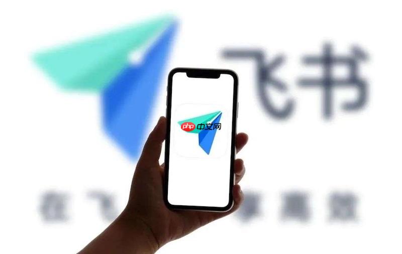 飞书账号绑定手机号失败如何解决