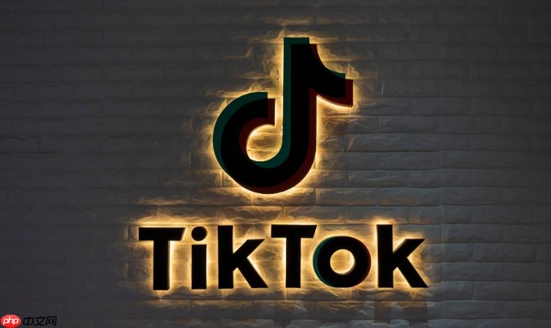 TikTok主页内容加载慢如何处理