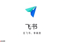 飞书视频会议中断怎么办