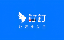 钉钉群消息撤回不了怎么办 钉钉聊天记录恢复技巧
