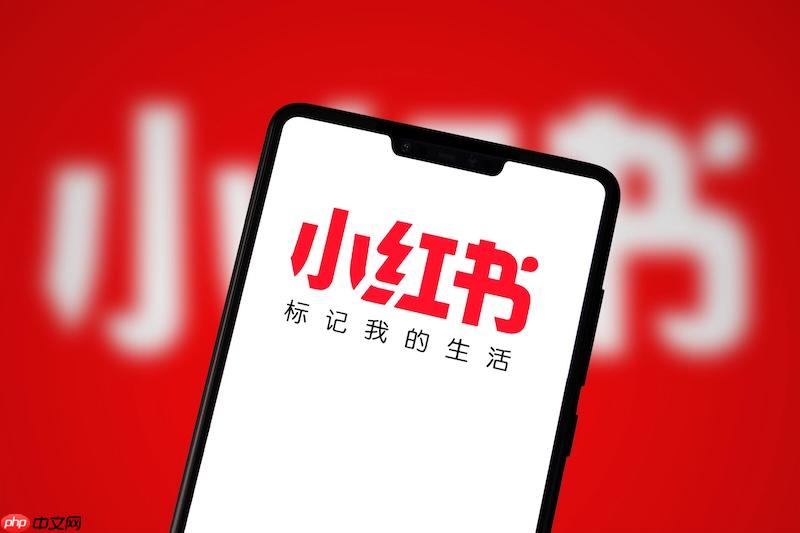 小红书账号认证失败如何解决