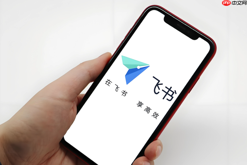 飞书日程提醒不显示如何处理