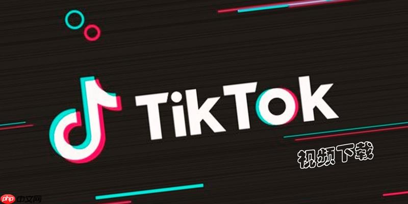 TikTok搜索不到内容怎么办