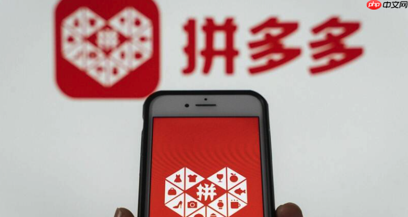 拼多多无法支付订单怎么办 支付失败排查与修复方法