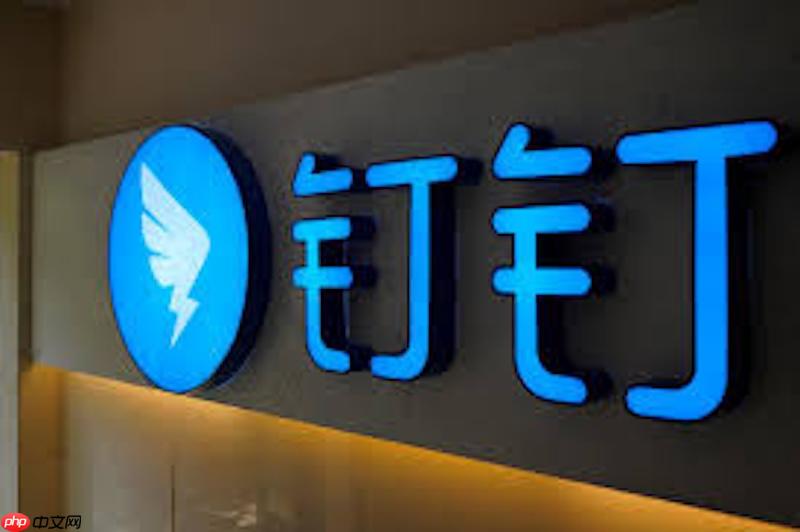 钉钉会议语音听不清怎么办 钉钉会议音量调整与优化方法