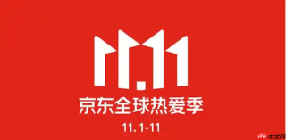 京东2025双11购物津贴怎么用 京东优惠使用技巧
