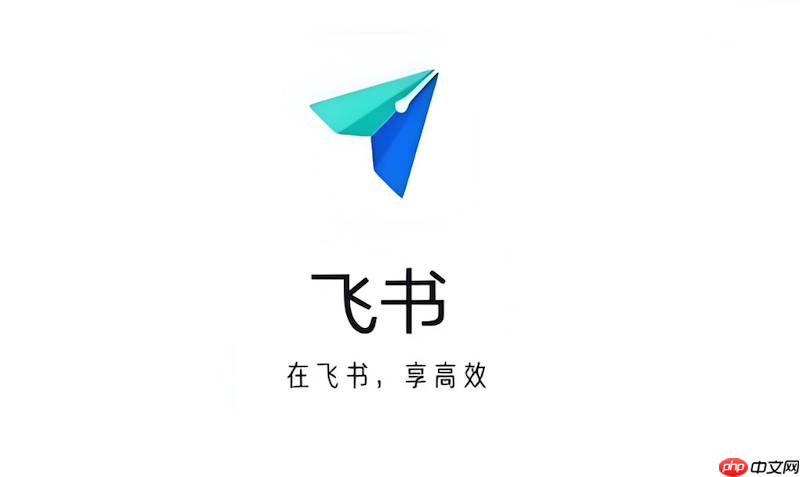 飞书账号登录异常怎么办 飞书验证码接收失败解决方案