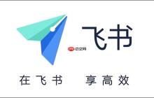 飞书任务分配失败如何解决
