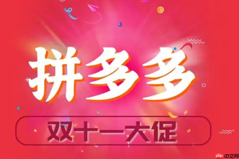 拼多多2025双11购物津贴怎么领入口 拼多多优惠入口讲解