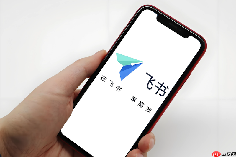 飞书会议共享屏幕异常怎么办 飞书屏幕共享修复与操作方法