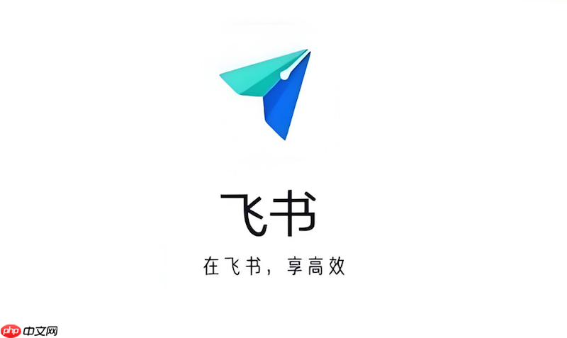 飞书共享文件无法下载怎么办 飞书权限与文件下载修复方法