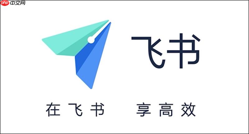 飞书视频播放卡顿怎么办 飞书视频播放优化与网络设置方法