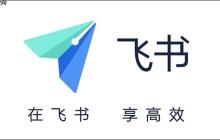 飞书视频播放卡顿怎么办 飞书视频播放优化与网络设置方法