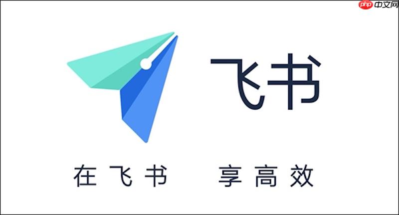 飞书视频播放卡顿怎么办 飞书视频播放优化与网络设置方法