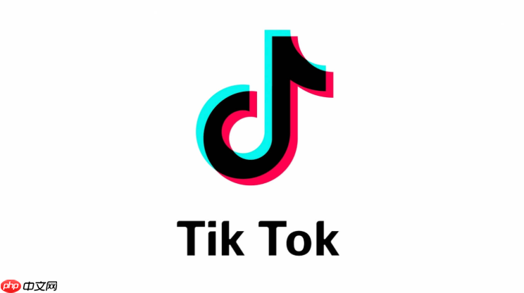 tiktok私信接收延迟怎么办 tiktok消息推送优化与修复方法