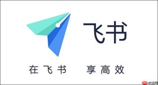 飞书文件无法打开怎么办 飞书文件加载修复与操作技巧