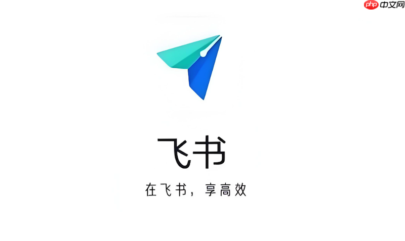 飞书文件传输速度慢怎么办 飞书文件传输优化与修复方法