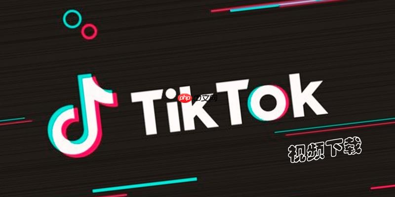 tiktok视频播放提示错误怎么办 tiktok播放异常修复与操作方法