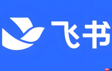 飞书会议无法切换摄像头怎么办 飞书视频设置修复与操作技巧