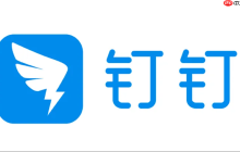 钉钉会议无法分享屏幕怎么办 钉钉屏幕共享修复与操作技巧
