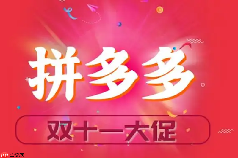 拼多多2025双11购物津贴使用技巧 拼多多优惠组合玩法