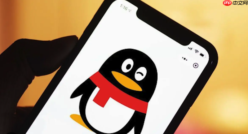 qq好友申请无法通过怎么办 qq好友申请管理与操作技巧