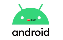 荣耀91 Pro 系统更新失败修复_荣耀91 Pro 升级优化教程