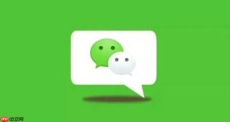 微信网页版官方入口 微信网页版聊天工具使用指南