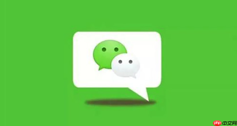 微信网页版网页版入口 微信网页版消息发送指南