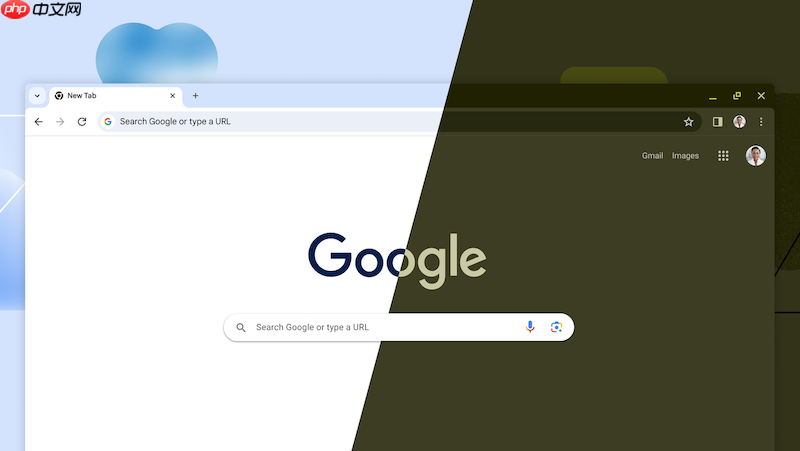 谷歌浏览器无法保存插件设置是什么原因 google chrome用户数据恢复教程